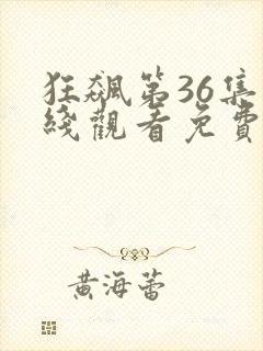 狂飙第36集在线观看免费完整版