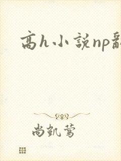 高h小说np乱