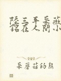 陆三平采薇陆勇铭在人间小说封面