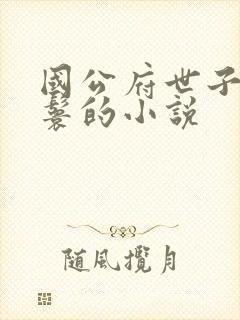 国公府世子与丫鬟的小说封面