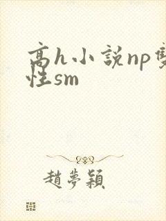 高h小说np双性sm