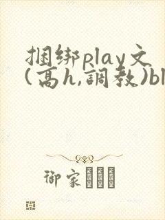 捆绑play文(高h,调教)bl