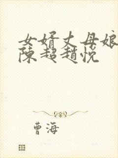 女婿丈母娘小说陈超赵悦