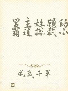 男主姓顾的所有霸道总裁小说