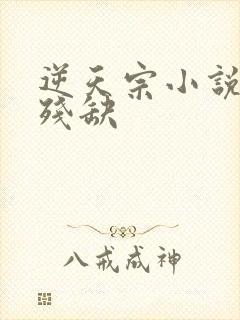 逆天宗小说灵根残缺