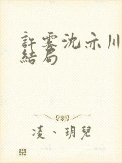 许雾沈亦川番外结局封面