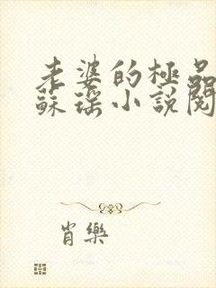 老婆的极品闺蜜苏瑶小说阅读