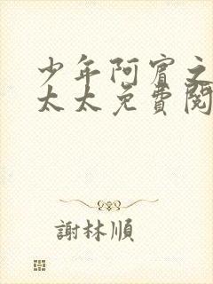 少年阿宾之房东太太免费阅读封面