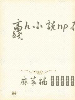高h小说np在线封面