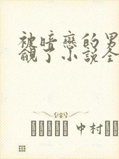 被暗恋的男神觊觎了小说全文阅读