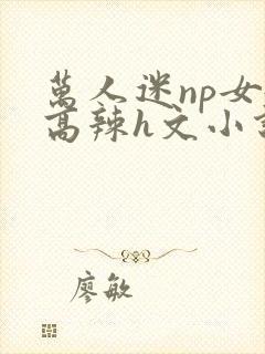 万人迷np女嬷高辣h文小说免费阅读