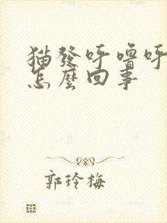 猫发呼噜呼噜声怎么回事