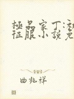 极品家丁:初八征服小说免费阅读封面