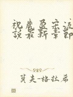 祝岁盈宋流景小说最新章节更新时间