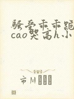 骚受乖乖跪趴被cao哭高h小说封面