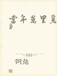 当年万里觅封侯》