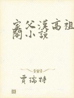 家父汉高祖笔趣阁小说