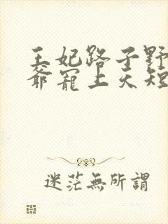 王妃路子野,王爷宠上天短剧免费观看