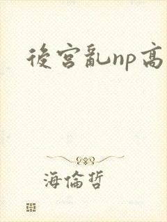 后宫乱np高h