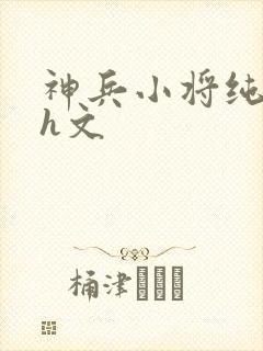 神兵小将纯肉高h文