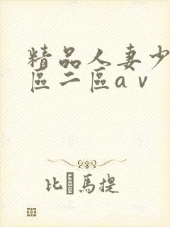 精品人妻少妇一区二区aⅴ封面