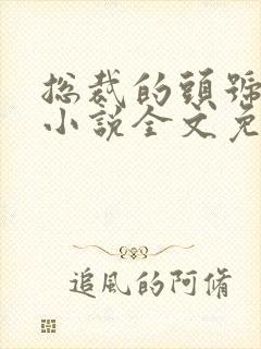 总裁的头号新妻小说全文免费阅读