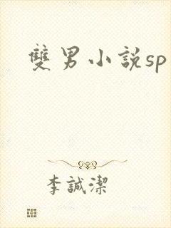 双男小说sp封面