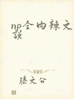 np全肉辣文小说