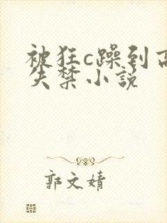 被狂c躁到高潮失禁小说