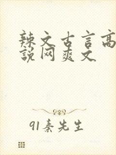 辣文古言高辣小说网爽文
