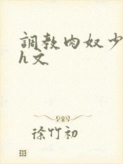 调教肉奴少司缘h文