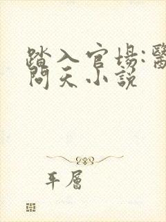 踏入官场:医道问天小说