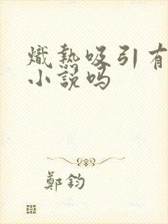 炽热吸引有原著小说吗