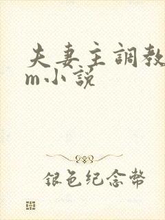 夫妻主调教 sm小说封面