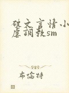 破文言情小说性虐调教sm封面