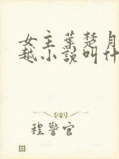 女主叶楚月的穿越小说叫什么名字封面