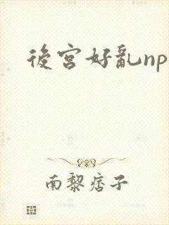 后宫好乱np