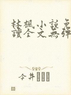 林枫小说免费阅读全文无弹窗封面