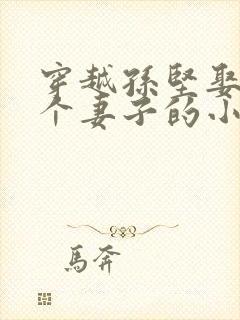 穿越孙坚娶了三个妻子的小说