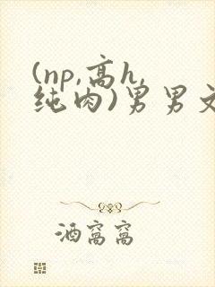 (np,高h,纯肉)男男文