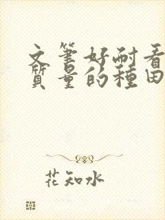 文笔好耐看的高质量的种田文封面