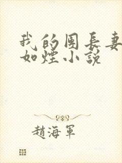 我的团长妻子柳如烟小说