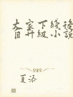 大家下线后我独自升级小说免费阅读