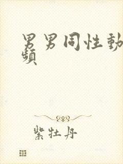 男男同性动态视频