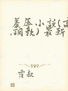 羞辱小说(高h,调教) 最新章节