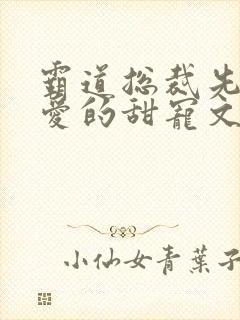 霸道总裁先婚后爱的甜宠文小说