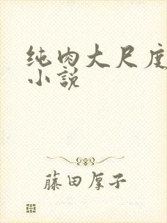 纯肉大尺度高黄小说