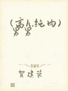 (高h,纯肉)男男