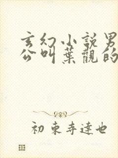 玄幻小说男主人公叫叶观的小说封面