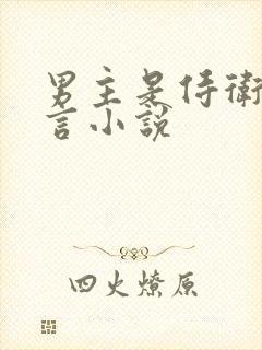 男主是侍卫的古言小说封面